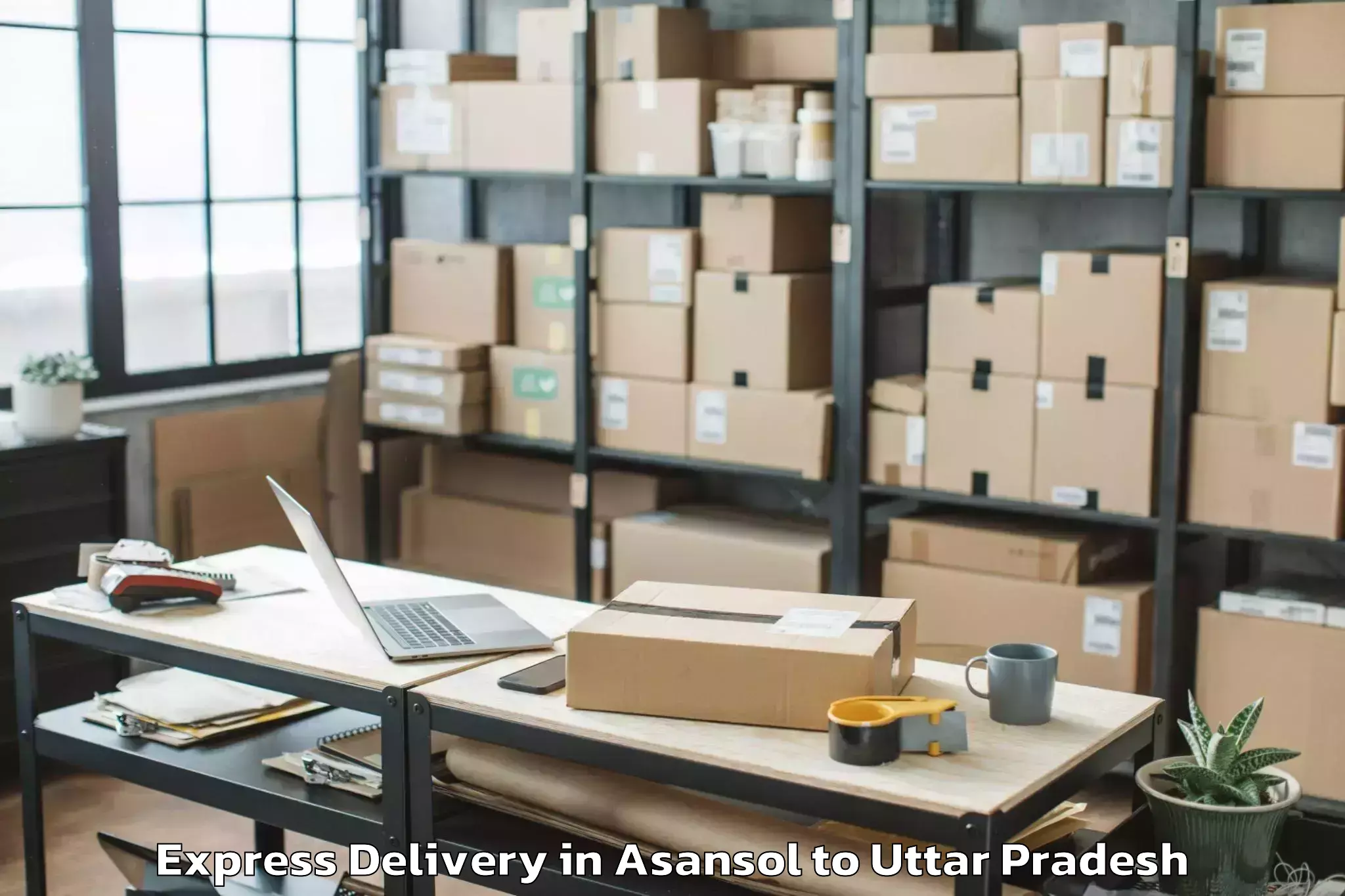 Professional Asansol to Uttar Pradesh University Of Me Express Delivery